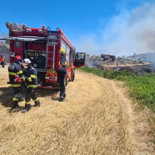 Riscuri de incendii în Grecia: cetățenii români sfătuiți să fie pregătiți