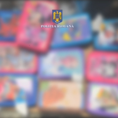 Descoperire de contrafaceri într-un container în Portul Constanța