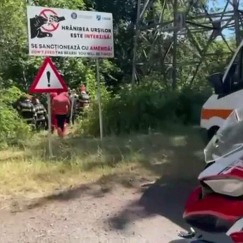 motociclist atacat de urs pe drumul transfagarasan în județul argeș