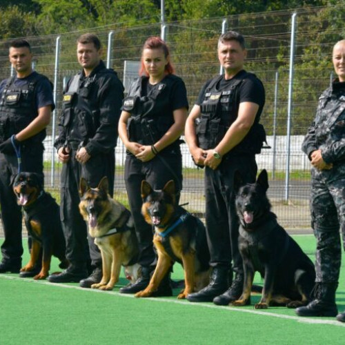 politie și jandarmerie pregătite pentru festivalul neversea kapital 2025 pe stadionul arena națională