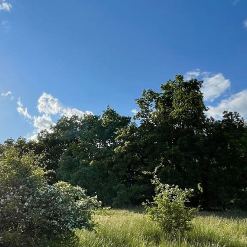 Vremea de weekend în Alba, 4-6 iulie: temperaturi ridicate și posibile furtuni