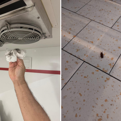 Verificări ale ANPC au scos la iveală probleme de siguranță și protecția consumatorilor în stațiunile de pe litoral