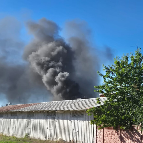 incendiu într-un depozit de cereale la dorohoi