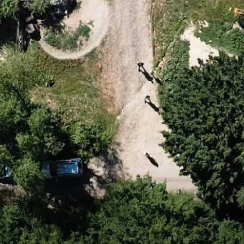 bărbat reținut după ce a tras cu armă de vânătoare în Tureac