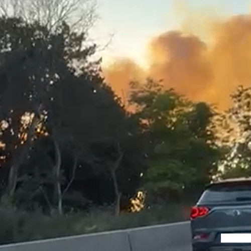 Intervenție la incendiu în Eforie Nord