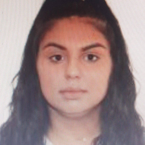 fetiță dispărută din targoviște, poliție caută fata