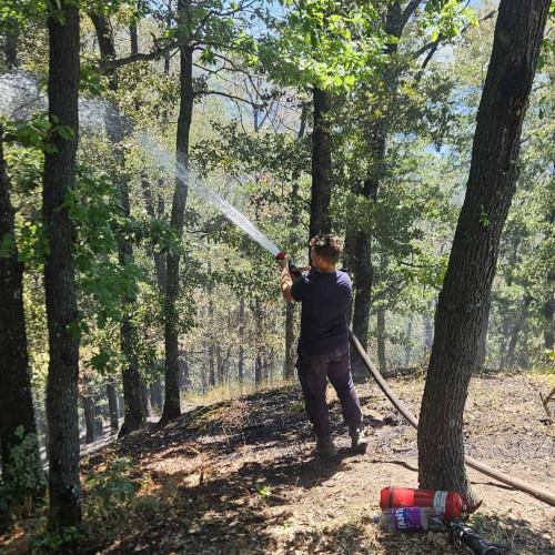 Incendiul de la Strungari - Loman, stins după 60 de ore de intervenție