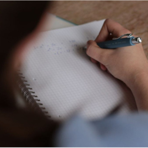 rezultate la evaluarea nationala din bihor: trei elevi au obtinut nota maxima