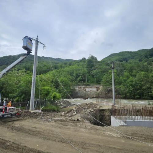 Demisia viceprimaritei Maria Radulea declanșează discuții în comunitate și pe rețelele sociale