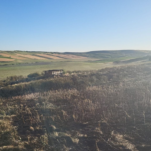 doi incendii de vegetație în județul botoșani