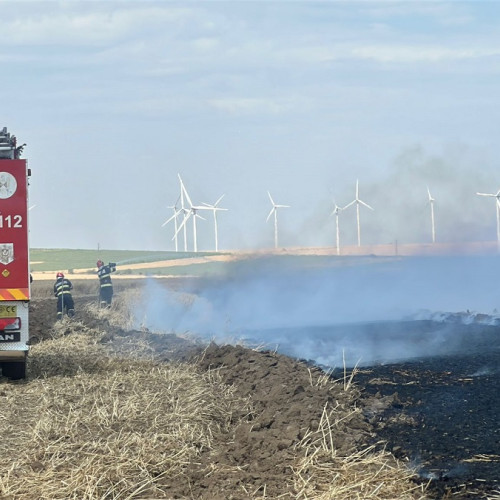 Intervenție pe strada Sudului pentru stingerea unui incendiu