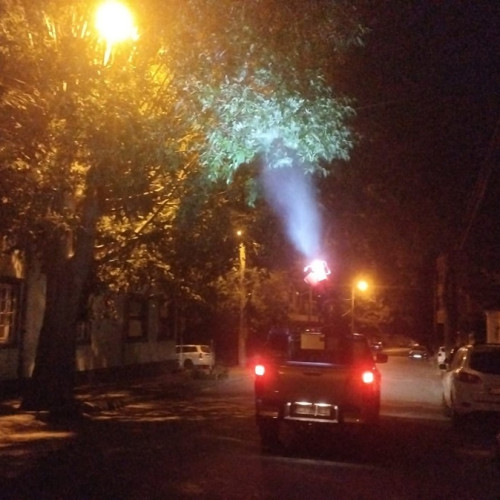 Primăria Constanța lansează noi acțiuni de dezinsecție pentru reducerea insectelor dăunătoare