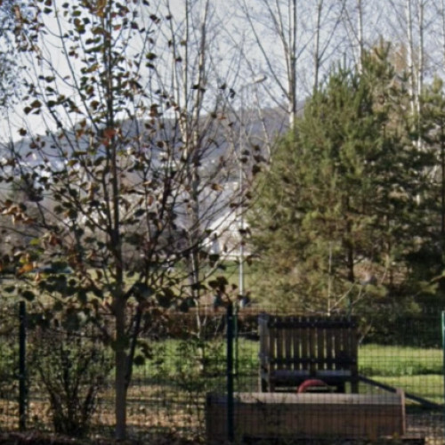 Parcul pentru câini din Cluj-Napoca, într-o stare de degringoladă