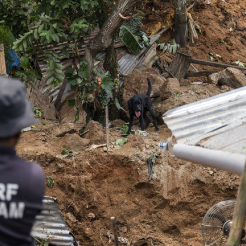 Inundații și alunecări de teren în nordul Indiei: cel puțin 69 de morți în ultimele două săptămâni