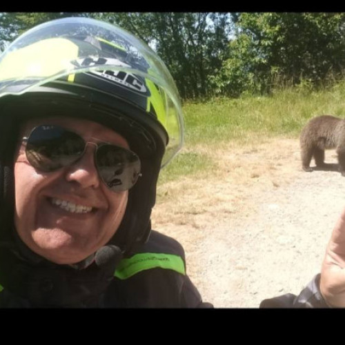 Turist italian ucis de o ursoaică pe Transfăgărășan după ce a postat fotografii cu animale pe Facebook