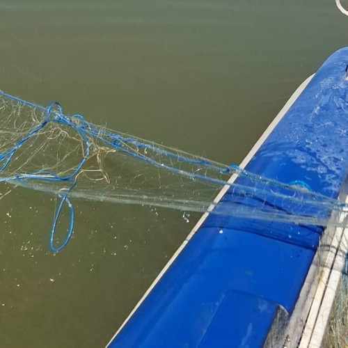 mai mulți botosăneni amendați pentru pescuit ilegal pe Prut