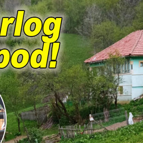 Ursul a ocupat casa părintească din Manzalesti după ce omul a plecat