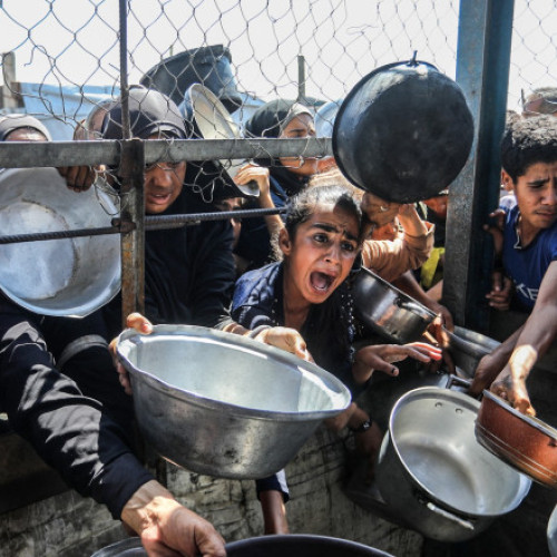 Număr de victime în creștere în Gaza, potrvit ONU