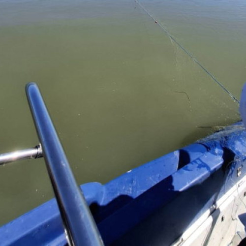 Aproximativ 1.200 de metri de plase de pescuit ilegale au fost scoşi din apele râului Prut de către poliţiştii de frontieră din Botoşani