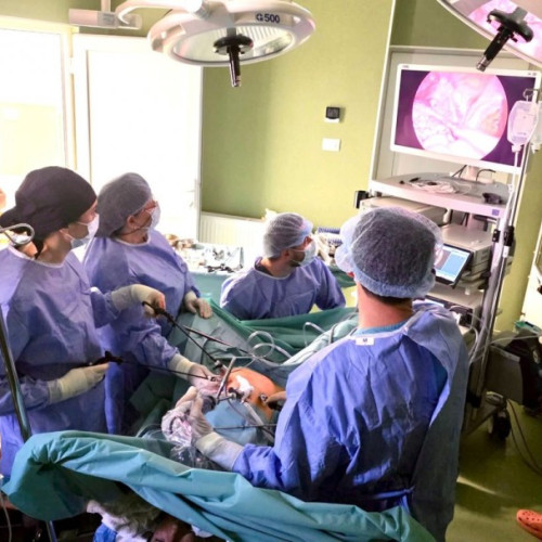 Curso intensiv de chirurgie minim invaziv în obstetrică-ginecologie la Arad