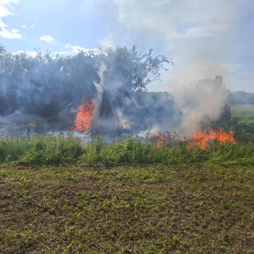Incendiu de vegetație uscată în Garbova
