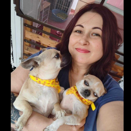 Oportunitate pentru iubitorii de animale din Alba Iulia: Gabi oferă servicii de îngrijire pentru companionii lor