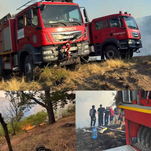 Pompieri din Alba și voluntari, în luptă contra incendiilor de vegetație și pădure