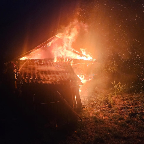 Incendiu într-o gospodărie din Sendriceni