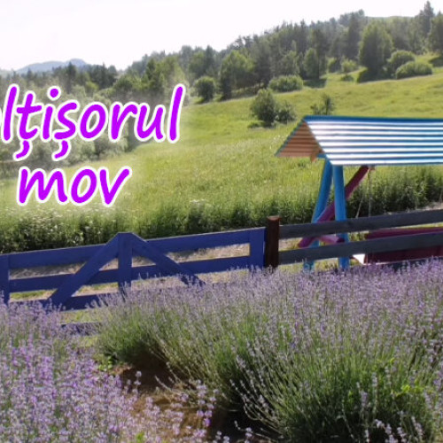 Deschiderea „Colțisorului de mov” la Recea, Bisoca: o inițiativă plină de pasiune pentru natură