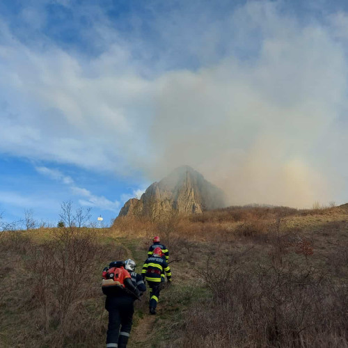 Incendiu de vegetație uscată în satul Valea Inzelului, comuna Râmet