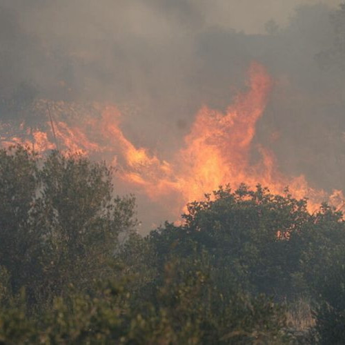 Incendii de proporții în Grecia: lupta desesperată a pompierilor pentru a salva zonele afectate