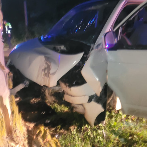 Tânăr băut, care a încercat să scape de polițiști, a ajuns cu mașina într-un copac