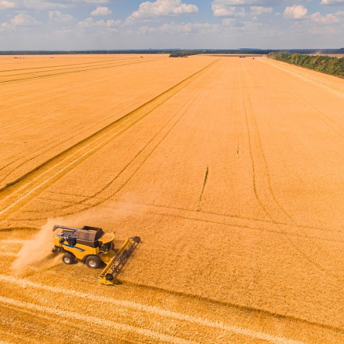 First Grain SRL continuă extinderea și reorganizarea, potrivit unui document semnat de Giumba Ana-Maria și Giumba Danut. Aceștia au decis ca administrarea firmei să fie exercitată în continuare de Giumba Danut, care are puteri depline de conducere până în anul 2083.