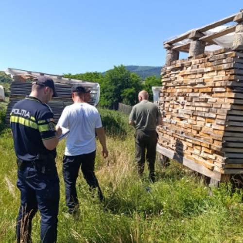 amenzi de 34.000 de lei și confiscare de lemne în Neamț în lupta împotriva delictelor silvice