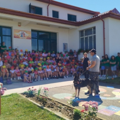 Campanie pentru siguranța copiilor în județul Neamț