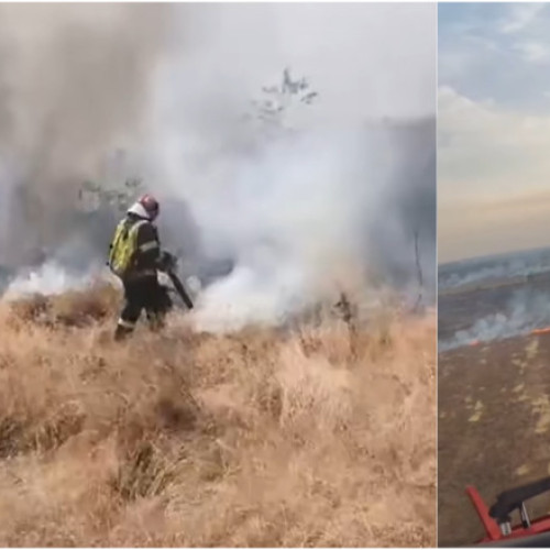 Incendii de vegetație devastatoare în mai multe județe ale țării