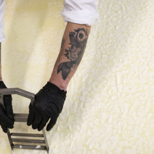 Fabrica de lactate din închisoarea Smolean, un succes neașteptat în Bulgaria, produce brânzeturi și produse lactate de calitate, utilizând muncă deținuților