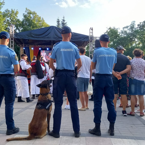 caini de serviciu și jandarmi asigură ordinea la festivalul din botosani