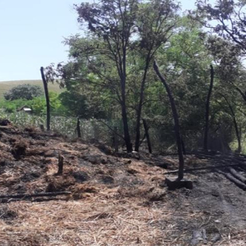 Incendiu în comuna Cămărașu, localitatea Năoiu, stins de pompieri