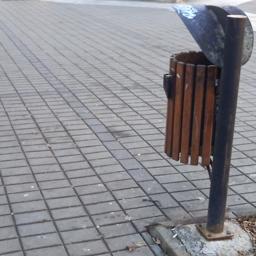 Cea mai mare cantitate de coșuri de gunoi din Botoșani se află pe strada Calea Națională, unde sunt montate 165 de recipiente pentru colectarea deșeurilor. În total, municipiul dispune de 1.406 coșuri stradale, iar cele mai lungi artere, precum strada Calea Națională și bulevardul Mihai Eminescu, adăpostesc cele mai multe dintre acestea, relatează botoșaninews.ro.