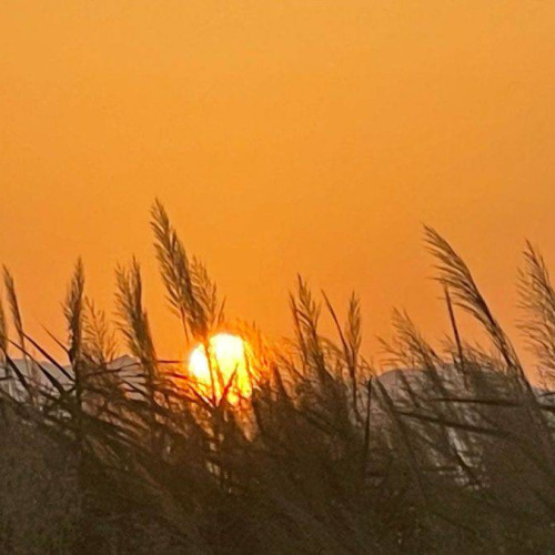 Cod portocaliu de caniculă în județul Alba: temperaturi de până la 39°C și nopți tropicale