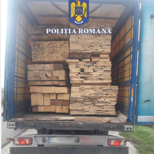Amenda pentru șoferul de tir care depășea încărcătura de cherestea la Băleni Sârbi