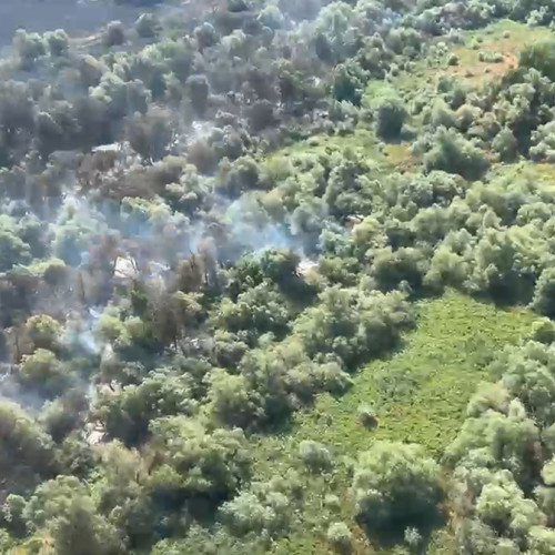 Incendiu de pădure în judetul Tulcea: intervenție complexă pentru lichidare