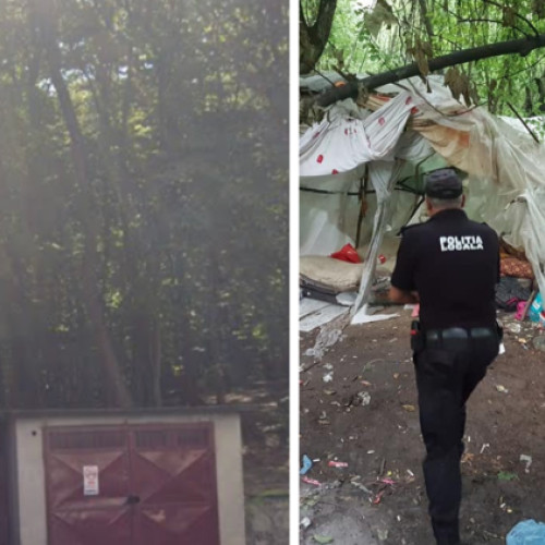 Probleme în pădurea din Mănăștur, Cluj.