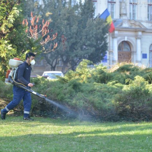 Campanie de combatere a capușelor și tratamente fitosanitar în Brașov