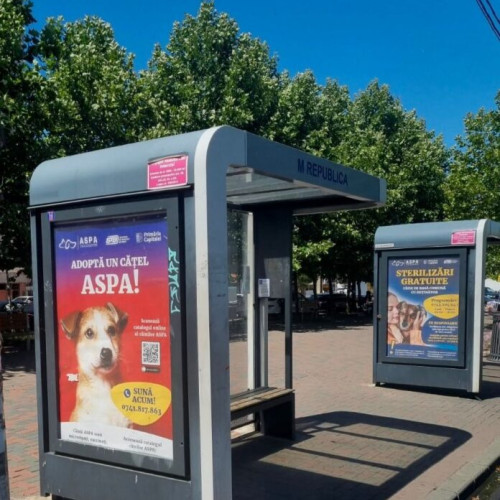 ASPA București și STB continuă campania de promovare a adopției și responsabilității față de animale