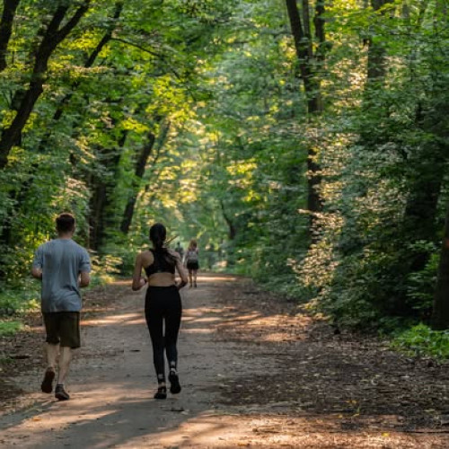 Asociatia parcului natural Văcărești avertizează asupra riscului de a ignora pădurea Băneasa în ședința Consiliului General