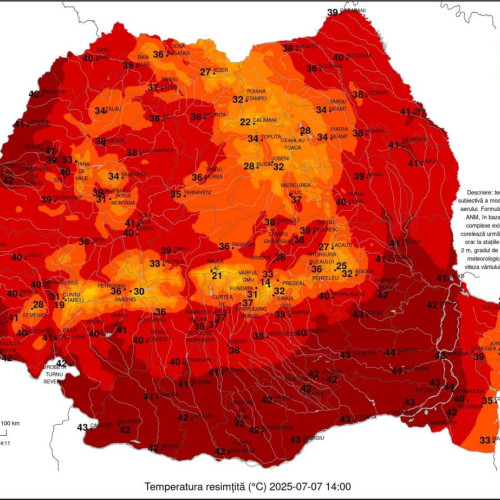 Vreme caniculară și temperaturi extrem de ridicate în județul Dâmbovița