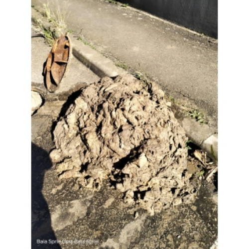 Probleme în sistemul de canalizare în timpul verii din cauza utilizării incorecte