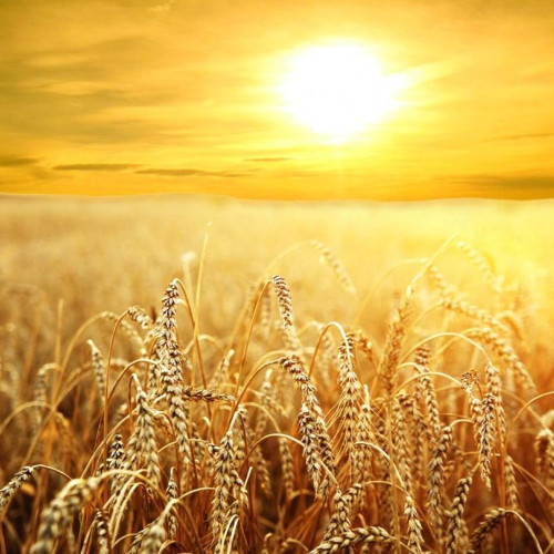 Vreme schimbătoare în Dâmbovița în următoarele două săptămâni, cu temperaturi ridicate și perioade de răcire